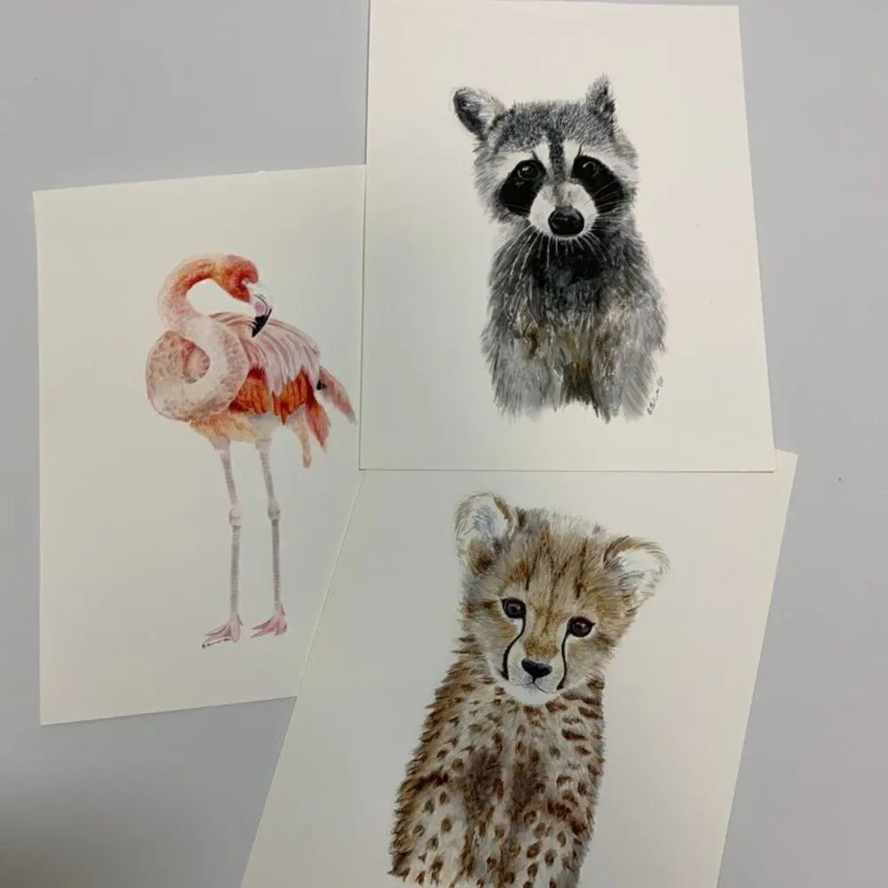 3 Set 8.5x11" Animal Pictures